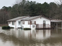 Rumah di Amerika Banyak Terbuat dari Kayu daripada Beton, Ini Alasannya