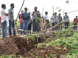 15 Ha Tanah di Batang Ambles Sedalam 50 Cm, 1 Desa Nyaris Terisolir