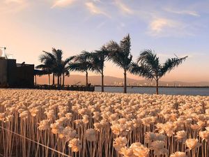 Wouw! Kafe Cantik Ini Dikelilingi 10 Ribu Mawar Putih yang Instagrammable