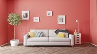 5 Tips Hadirkan Ketenangan di Rumah Minimalis