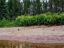 Rahasia di Balik Pantai Pasir Ungu di Kanada