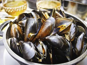 Karena Cuaca Panas, Setengah Juta Kerang di Pantai Ini Jadi Matang Karena Cuaca Panas, Setengah Juta Kerang di Pantai Ini Jadi Matang