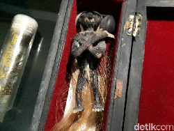 Hii! Ini Penampakan Jenglot Dukun Pemaksa ABG Threesome di Brebes