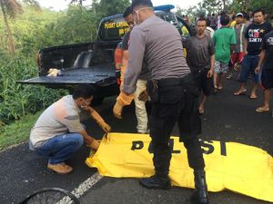 Kata PLN soal Pemotor Tewas Tersangkut Kabel Listrik di Gunungkidul Kata PLN soal Pemotor Tewas Tersangkut Kabel Listrik di Gunungkidul
