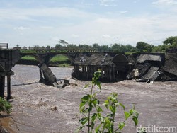 Pondasi Tergerus Arus Sungai, Jembatan Penghubung Jember-Lumajang Putus