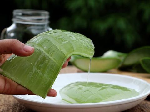 Healthy Aloe vera juice in a mason jar glass. Top view scene on a wooden paddle board.