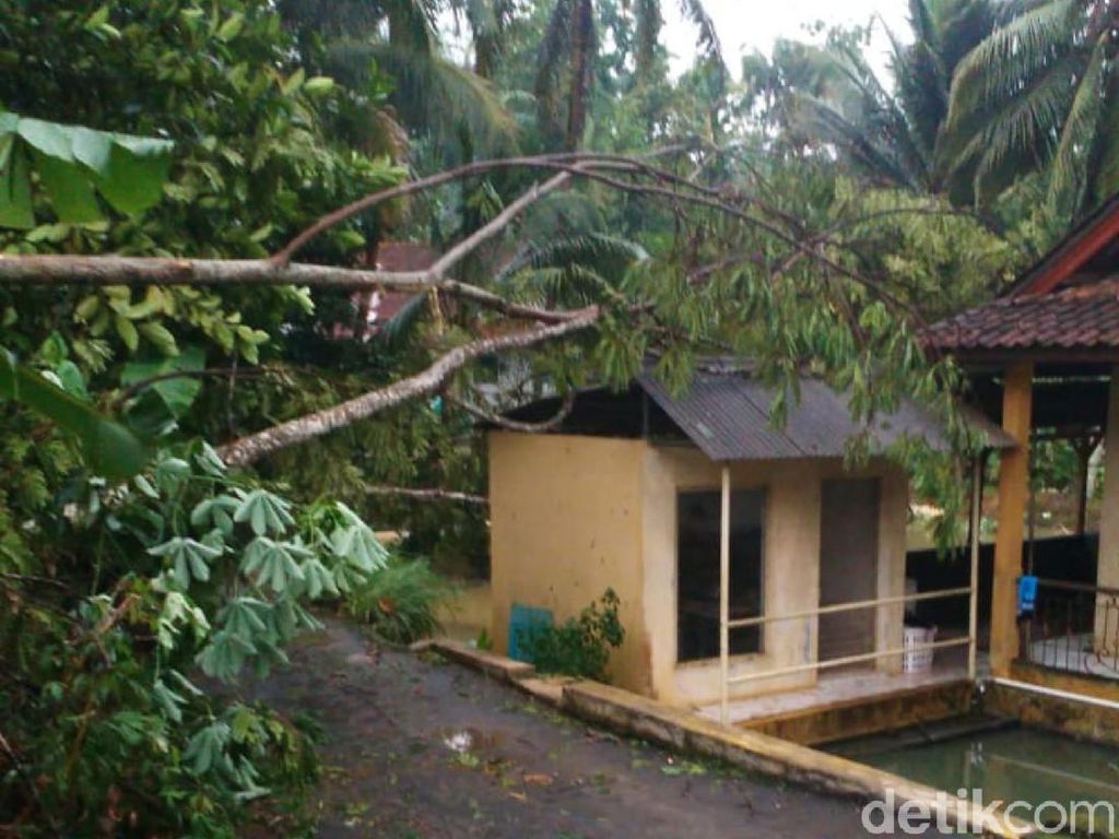 Hujan Angin Landa Ciamis, Pohon Tumbang Timpa Rumah dan Longsor Hujan Angin Landa Ciamis, Pohon Tumbang Timpa Rumah dan Longsor