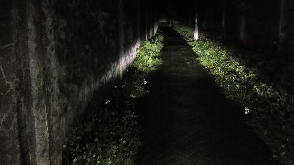 Potret Horor Gang Saksi Bisu Begal Payudara Mahasiswi UIN Makassar