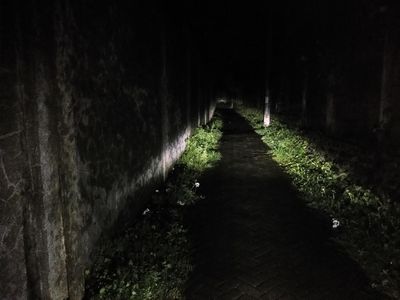 Potret Horor Gang Saksi Bisu Begal Payudara Mahasiswi UIN Makassar
