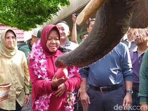 Kini Punya Jogging Track, Risma Optimis KBS Semakin Maju