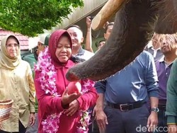 Kini Punya Jogging Track, Risma Optimis KBS Semakin Maju