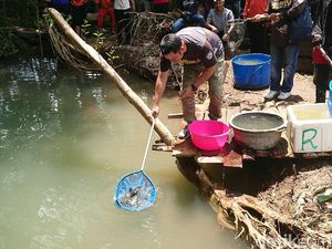 Lestarikan Telaga Mapahan, Bibit Ikan Ditebar dan Pohon Ditanam