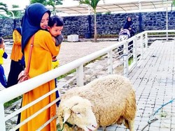 Bhumi Merapi, Wisata Ramah Anak di Yogyakarta