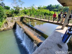 Basarnas: Seluruh Korban Tewas Susur Sungai SMPN 1 Turi Telah Ditemukan