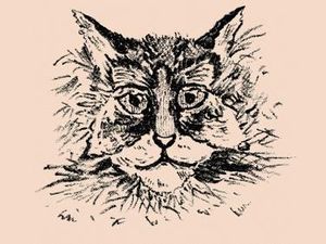 Tes Kepribadian: Kucing atau Kupu-kupu yang Pertama Kali Dilihat? Tes Kepribadian: Kucing atau Kupu-kupu yang Pertama Kali Dilihat?