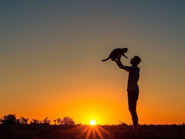 Pria Berhenti Kerja dan Pilih Traveling Bareng Kucing