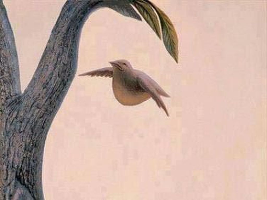 Tes: Sarang Burung atau Wajah Wanita, Gambar Pertama yang Kamu Lihat? Tes: Sarang Burung atau Wajah Wanita, Gambar Pertama yang Kamu Lihat?