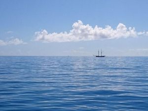 Heboh Elon Musk Sebut Bumi Itu Datar, Benarkah? Heboh Elon Musk Sebut Bumi Itu Datar, Benarkah?