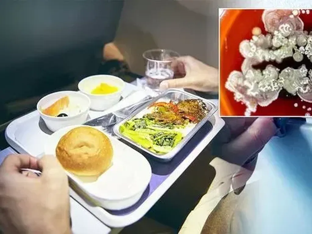 Baki Makanan di Pesawat Ternyata Paling Jorok, Ini Faktanya