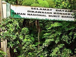 Mengenal Taman Nasional Bukit Barisan Selatan di Bengkulu