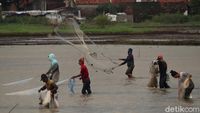 Menjala Ikan di Tengah Sawah yang Kebanjiran