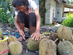 Eni, Penyandang Difabel Jual Durian di Blitar yang Sangat Mandiri