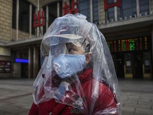 Virus Corona Bertahan di Benda Mati Hingga 9 Hari, Bagaimana dengan COVID-19? Virus Corona Bertahan di Benda Mati Hingga 9 Hari, Bagaimana dengan COVID-19?