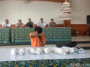 Penyelundupan Baby Lobster Senilai Rp 1,5 M Digagalkan Bea Cukai Bali