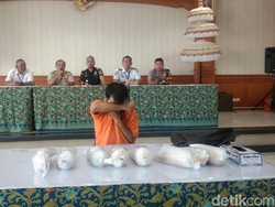 Penyelundupan Baby Lobster Senilai Rp 1,5 M Digagalkan Bea Cukai Bali