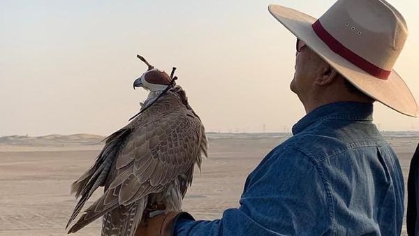 Potret Prabowo Rapat di Tengah Gurun Pasir Sambil Lepas Elang