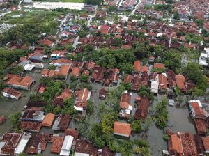 Potret Banjir di Pekalongan dari Udara