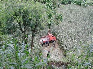 Pikap Misterius Ditemukan terjatuh ke Dasar Jurang di Situbondo Pikap Misterius Ditemukan terjatuh ke Dasar Jurang di Situbondo