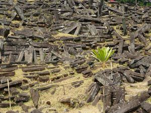Situs Gunung Padang, Peninggalan Megalitikum dari Cianjur Situs Gunung Padang, Peninggalan Megalitikum dari Cianjur