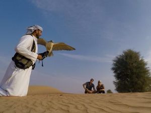 Ingin Berburu Pakai Elang Seperti Prabowo? Ini Paket Wisatanya