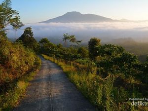 5 Tempat Wisata di Lampung Barat ini Wajib Kamu Kunjungi