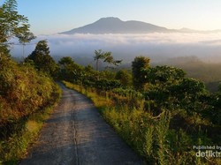 5 Tempat Wisata di Lampung Barat ini Wajib Kamu Kunjungi