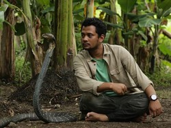 Panji Petualang Bicara soal Salah Kaprah tentang Ular Berbisa
