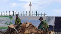 Penampakan Pohon Beringin yang Tumbang di Depan Monas