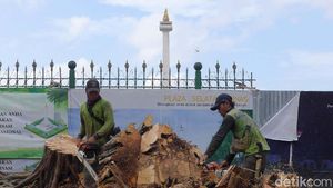 Penampakan Pohon Beringin yang Tumbang di Depan Monas