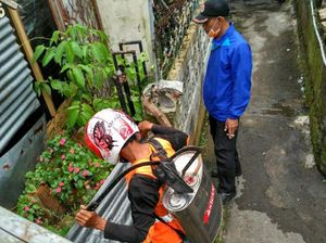 Ribuan Ulat Bulu Teror Permukiman Warga di Kota Sukabumi