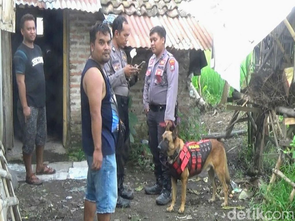 Polisi Kerahkan Anjing Pelacak Cari Kepala Korban Terpenggal di Bondowoso Polisi Kerahkan Anjing Pelacak Cari Kepala Korban Terpenggal di Bondowoso