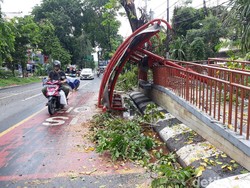 Pohon Tumbang Timpa Halte Bus Berisi 6 Siswa SMP di Solo