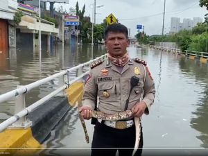 Ini Alasan Polisi Pegang Ular Saat Laporkan Banjir Jakarta Barat