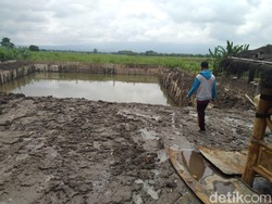 Pembangunan Kolam Pancing Ganggu Kajian Situs Majapahit di Jombang