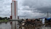 Waduh! Ada Kambing Kebanjiran di Jakarta Utara