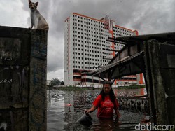 BPBD: 10 Persen RW Jakarta Banjir, Paling Tinggi di Cawang 2 M