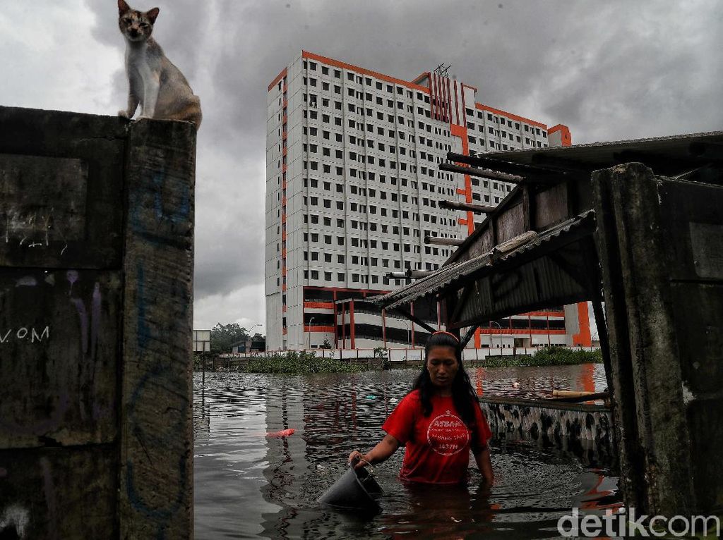 Potret Warga Korban Banjir di Semper Jakut Menanti Bantuan Potret Warga Korban Banjir di Semper Jakut Menanti Bantuan