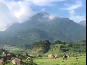 Viral! Padang Rumput Keren di Mojokerto