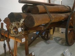 Ngopi di Cafe Arboretum Sekaligus SInggah di Museum Kehutanan, Yuk!