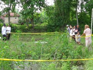 Ada Sawah Mendidih di Sumenep, Tapi Airnya Tak Panas